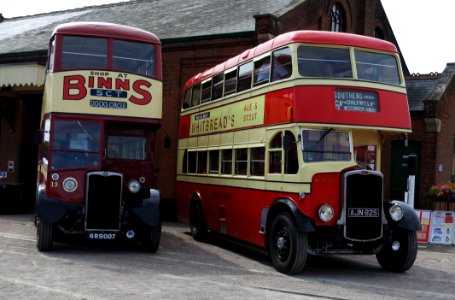 Vintage Buses