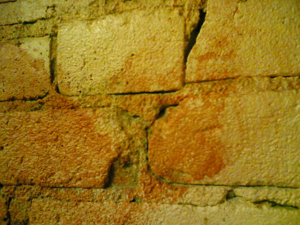 Mexico Sabroso Wall