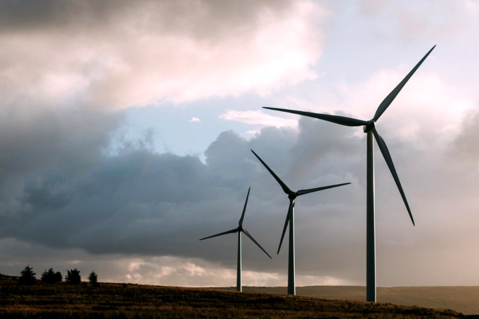 Windmills In Field