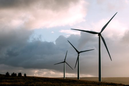 Windmills In Field