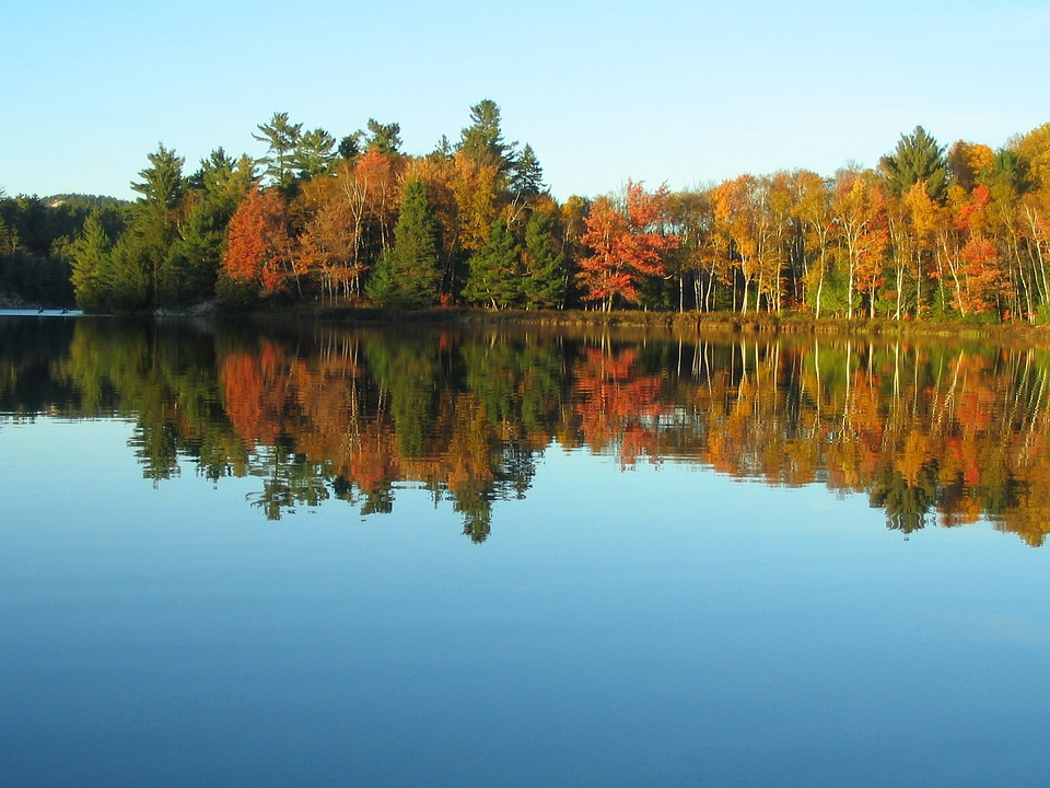 Reflection autumn foliage