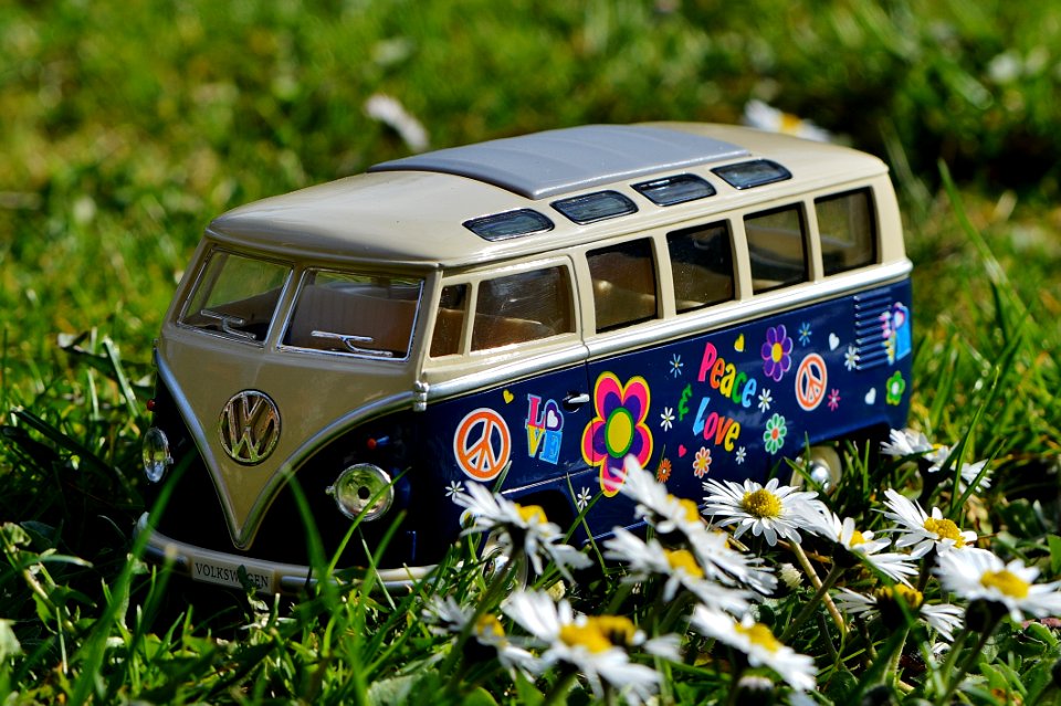 Volkswagen Beige And Blue Van Scale Model Near White Daisy Flower During Daytime