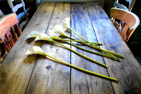 Flowers On Wooden Table photo
