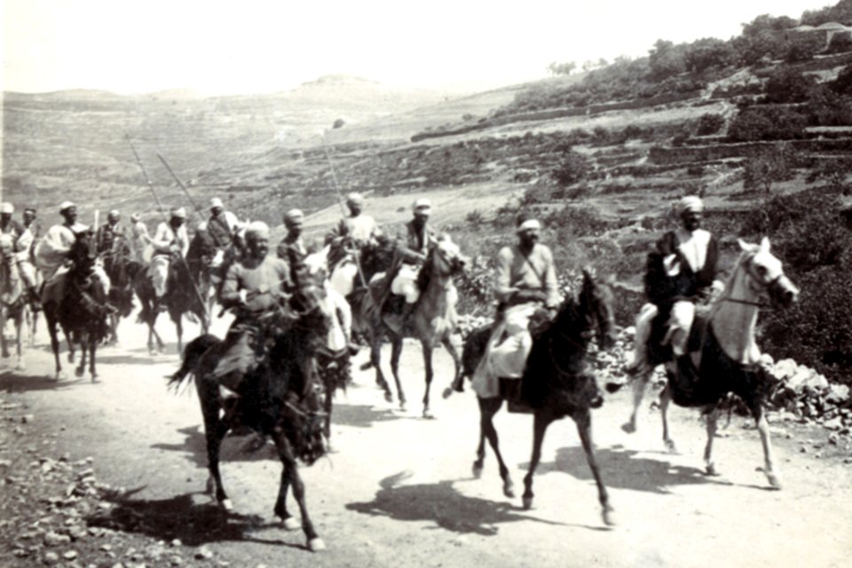 Horse Photograph Working Animal Mode Of Transport