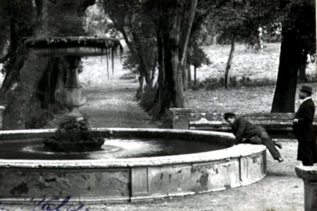 Black Water Tree Temple photo