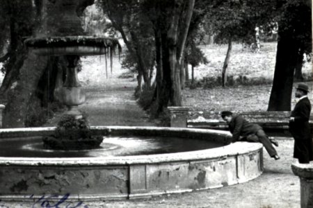 Black Water Tree Temple