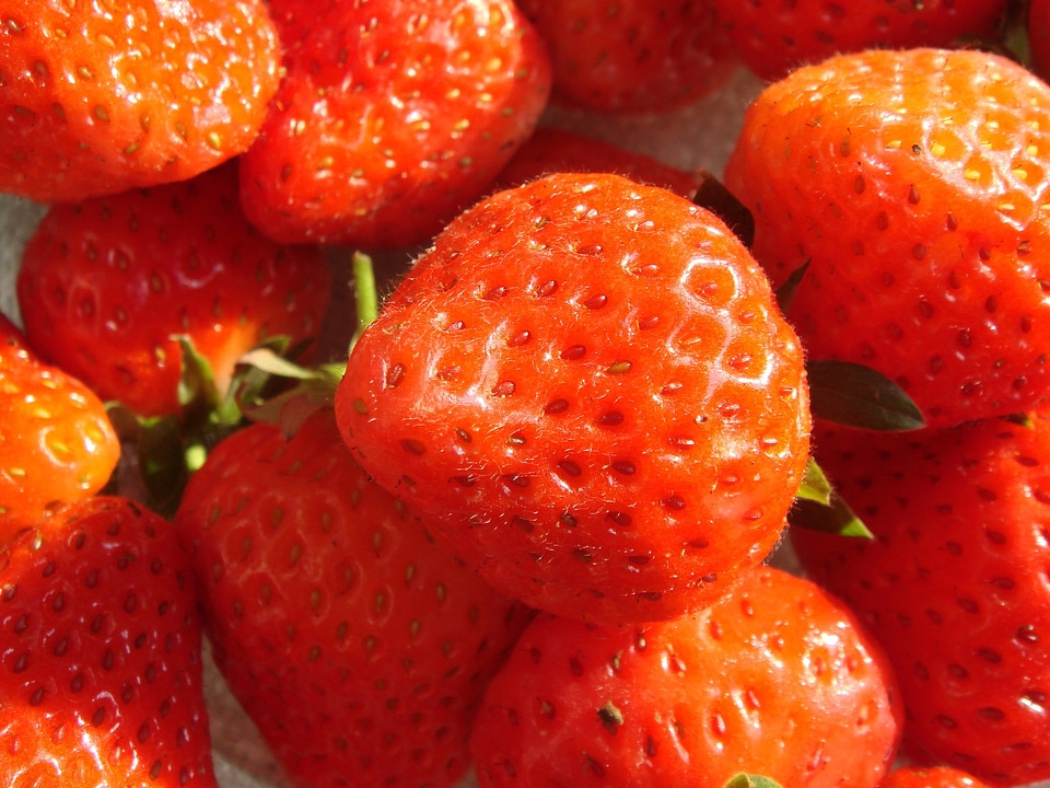 Food healthy food berries