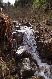 Nature landscape water