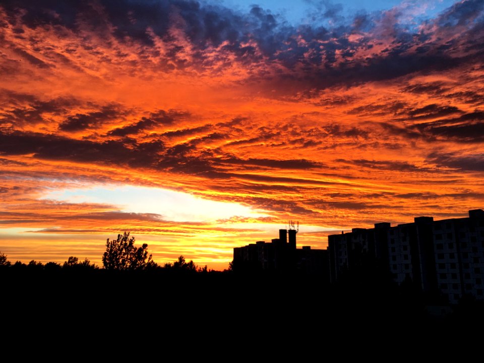 Burning Skies