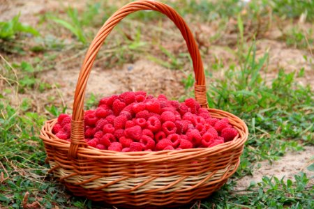 Basket Of Raspberries