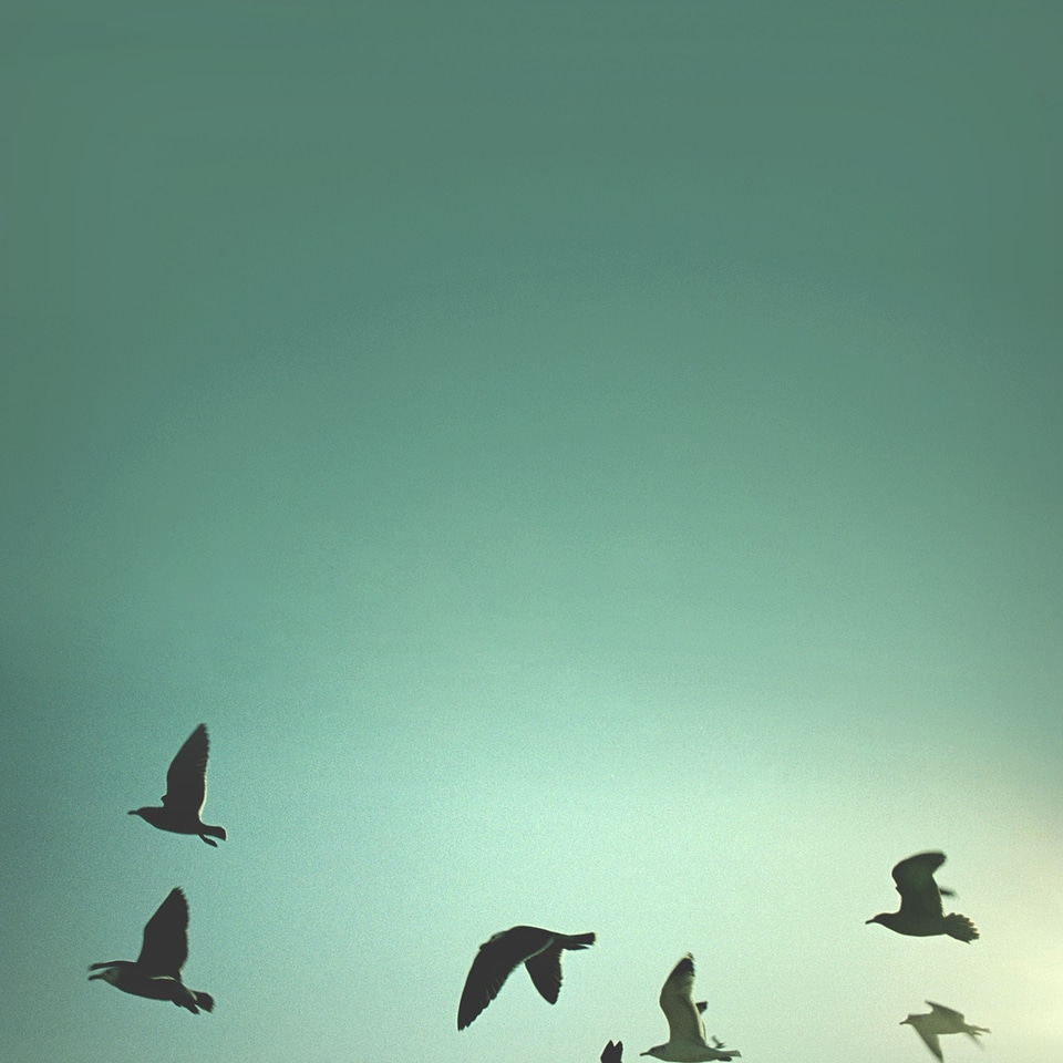 Blue nature landscape