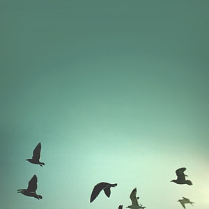 Blue nature landscape