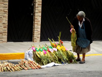Vendedora De Ramos