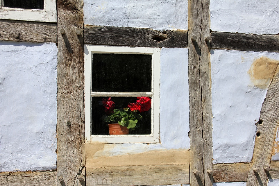Fachwerkhaus window flower