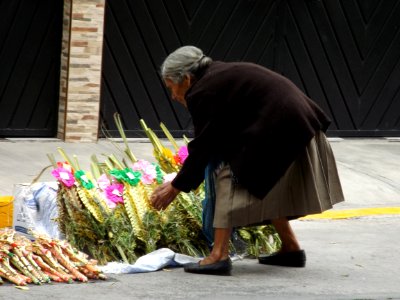 Vendedora De Ramos