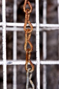 Rusty Chain photo