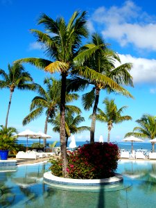 Tropical Hotel Swimming Pool