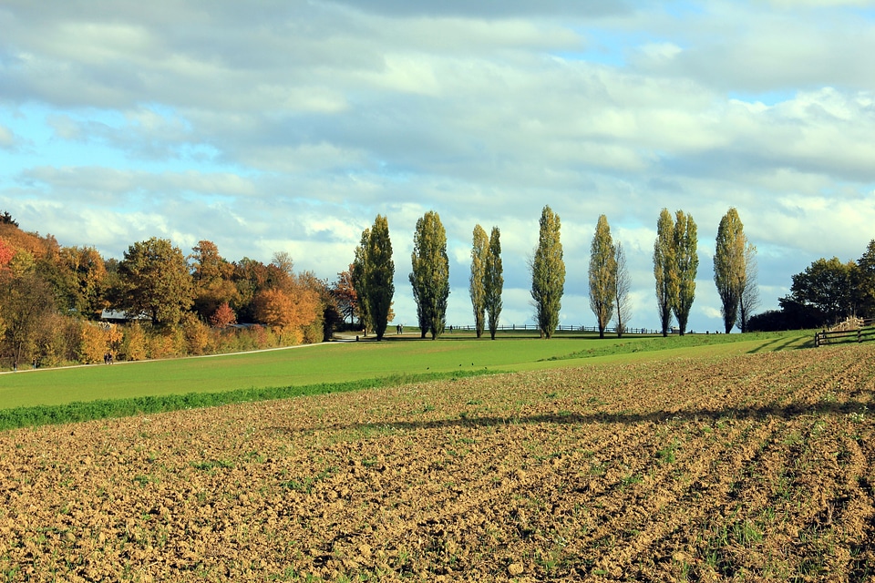 Landscape arable sky