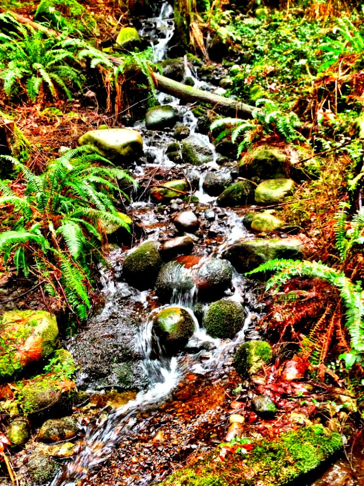Waterfall