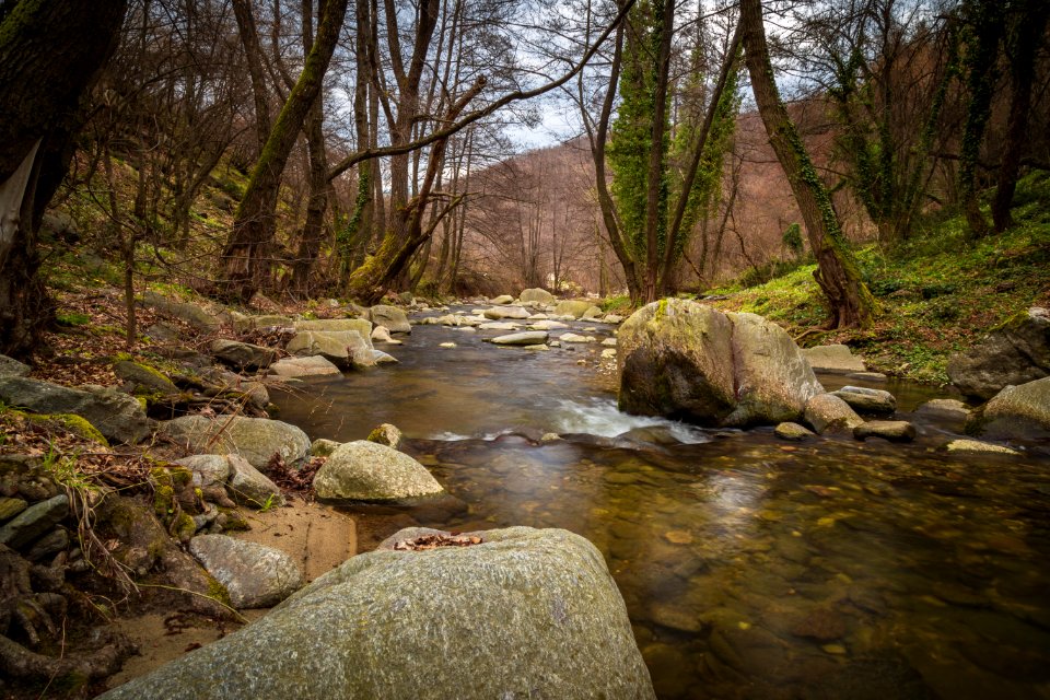Stream Flowing Through Woods