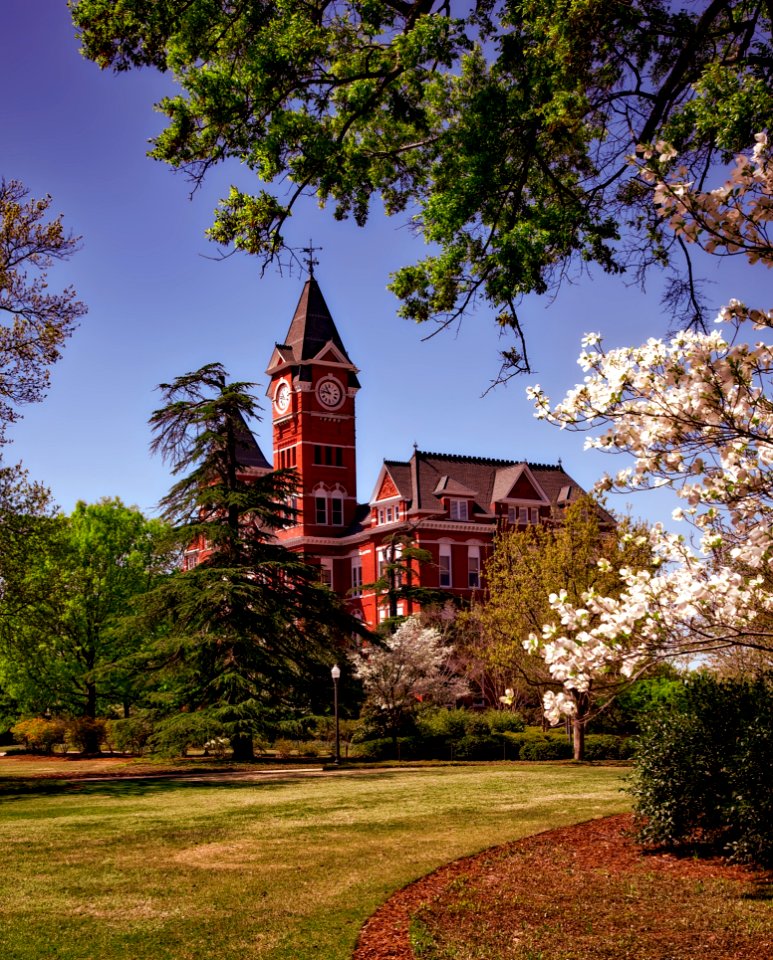 Brown Building Surrounded By Trees
