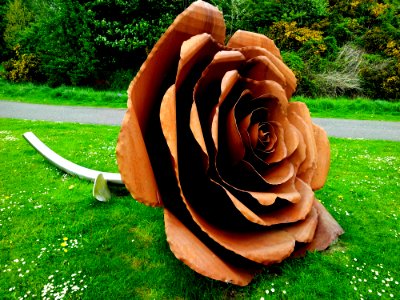 Sculpture Of Rose