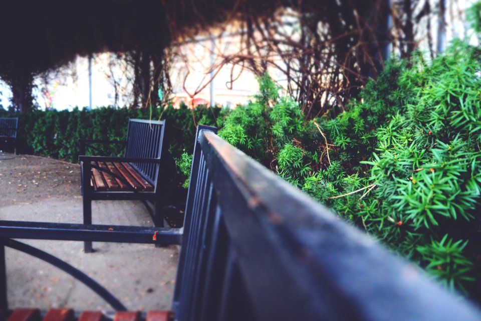 Benches In A Garden