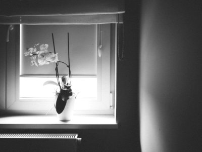 Grayscale Photography Of Vase Near Window photo