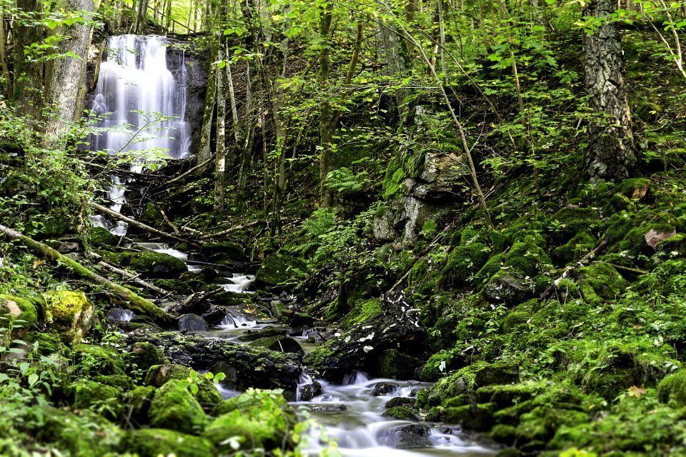 Cascade And Stream