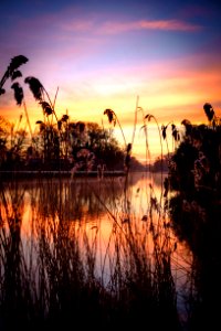 Lake At Sunset photo