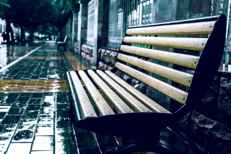 Bench In Rain