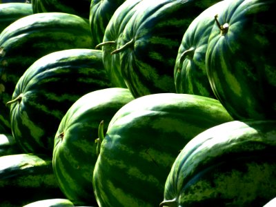 Green Piled Watermelon photo