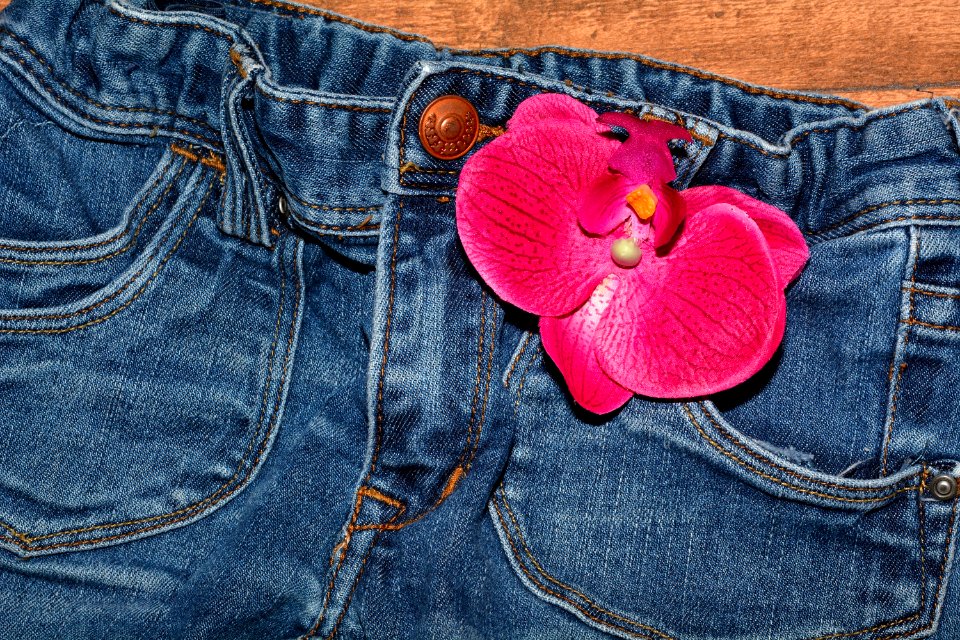 Pink Flower On Blue Jeans