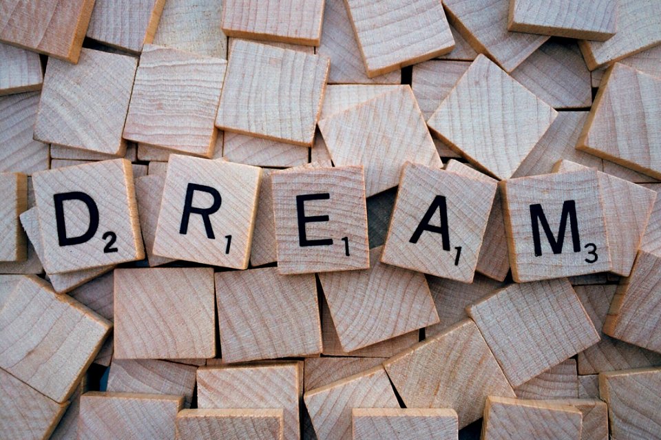 Choice Of Blocks Leads To Dream