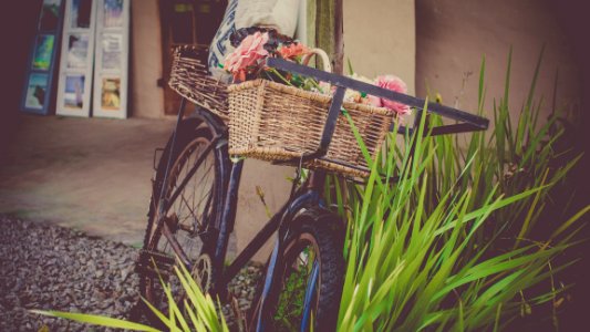 Vintage Bicycle With Basket photo