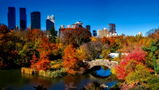 Central Park And Gapstow Bridge