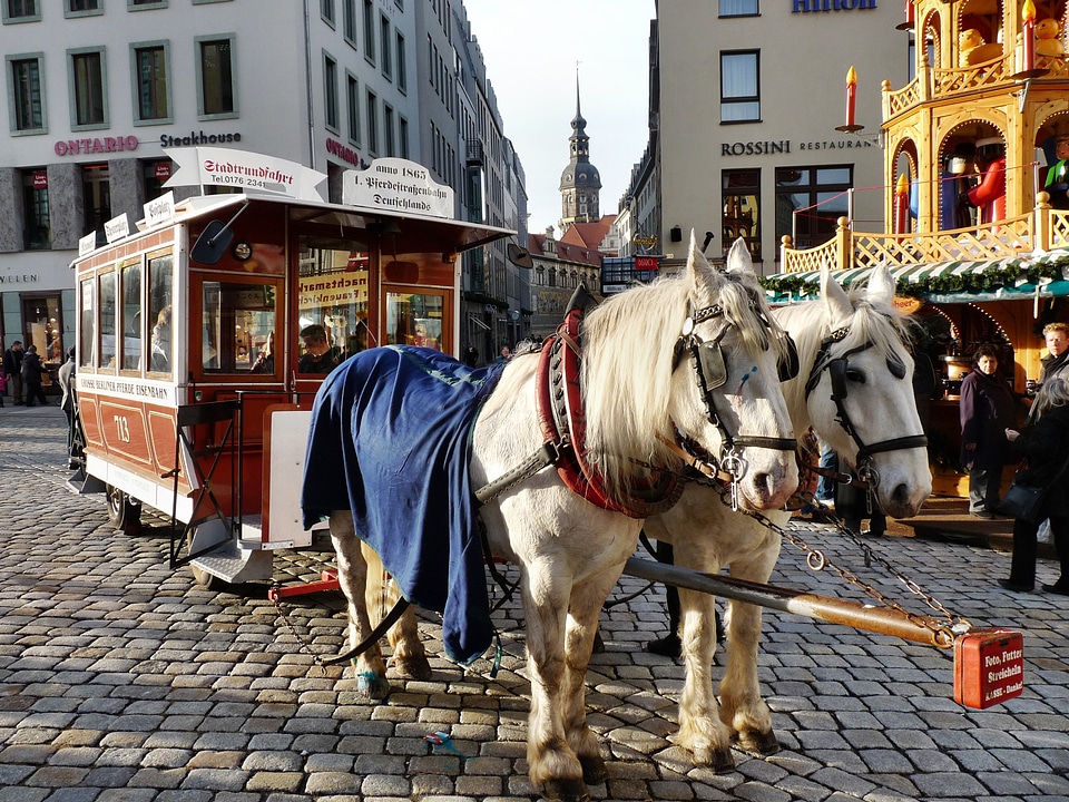 Wagon team means of transport