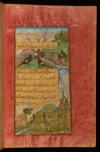Birds Of Hindustan Luchas Called Būqalamūn And Partridges (Memoirs Of Babur) Walters Art Museum Ms W596 Fol31b