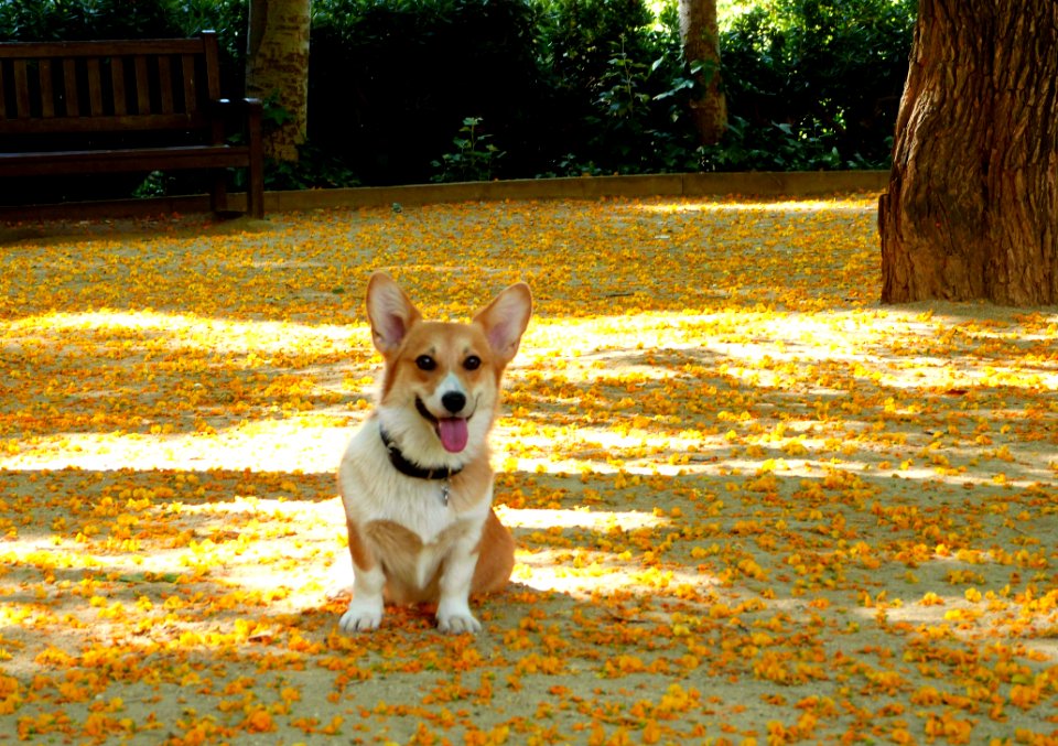 This Park Rocks Mom