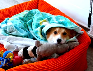 Its Cold Today
