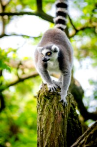 20160526Duisburg-20