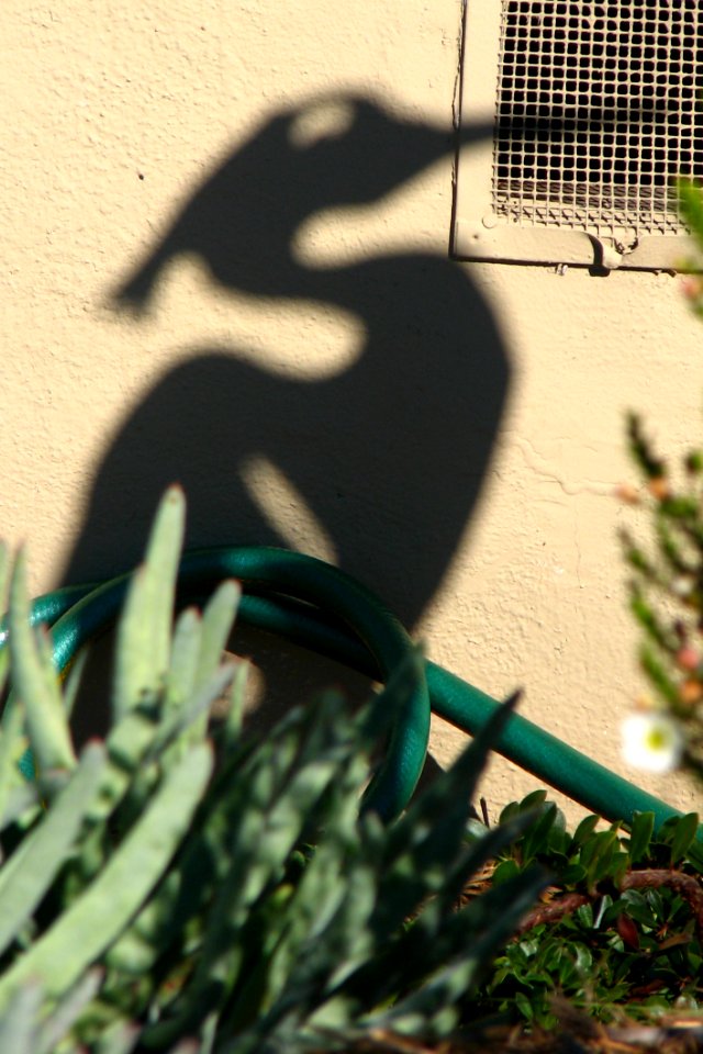 Shadow Of Heron Sculpture