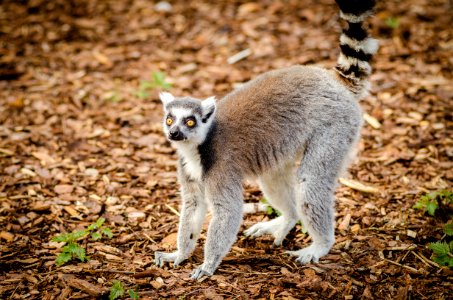 201600501NaturzooRheine-281
