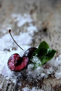 Close-up Of Frozen Leaf