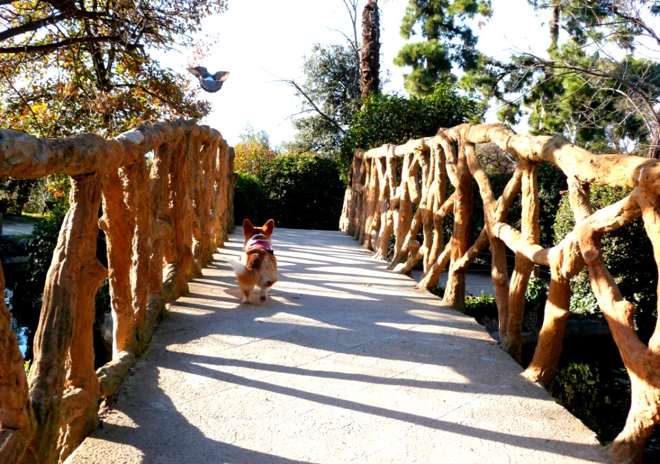 Fun At The Park photo