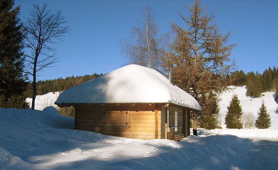 Snow black forest bank
