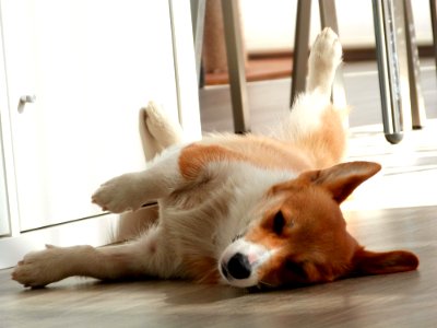 A Moment Of Zen
