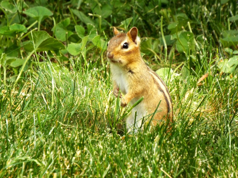 Is This My Best Side