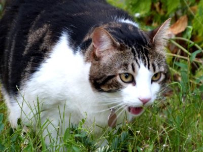 Blergh Grass Is Kinda Gross