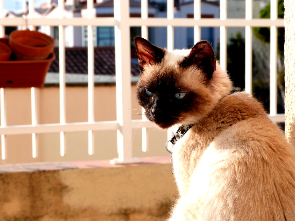 On The Windowsill